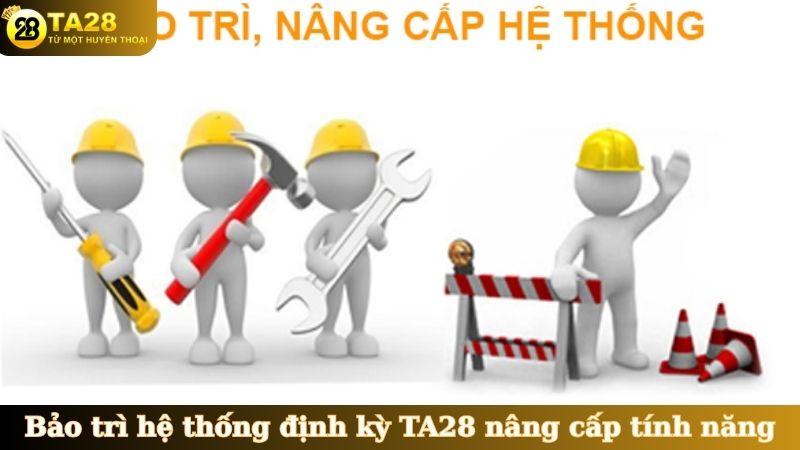 Bảo trì hệ thống định kỳ TA28 nâng cấp tính năng
