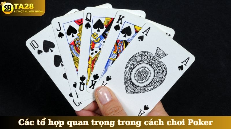 Các tổ hợp quan trọng trong cách chơi Poker