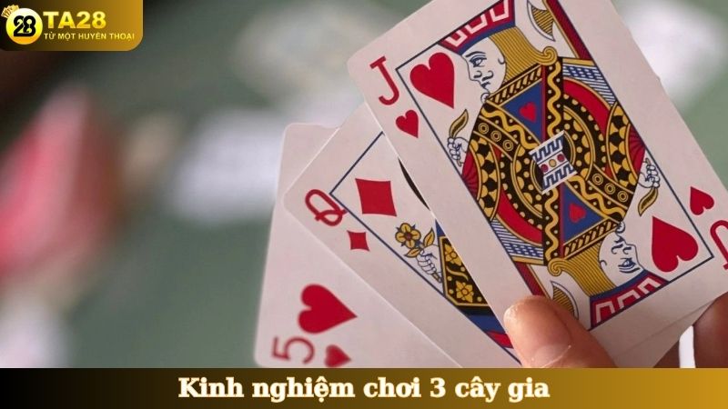 Kinh nghiệm chơi 3 cây gia tăng lợi thế chiến thắng
