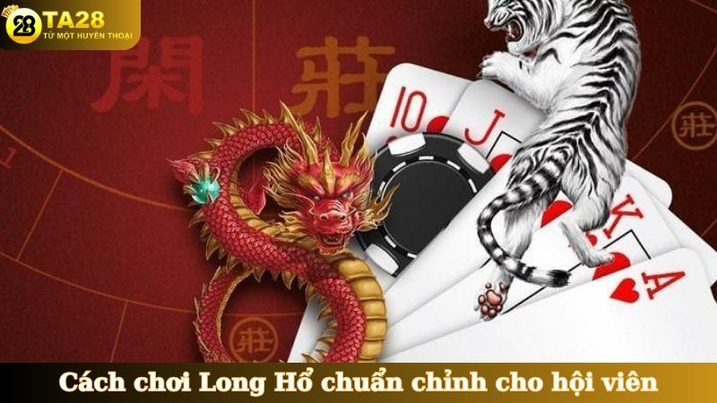 Cách chơi Long Hổ chuẩn chỉnh cho hội viên