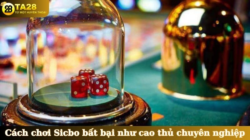 Cách chơi Sicbo bất bại như cao thủ chuyên nghiệp