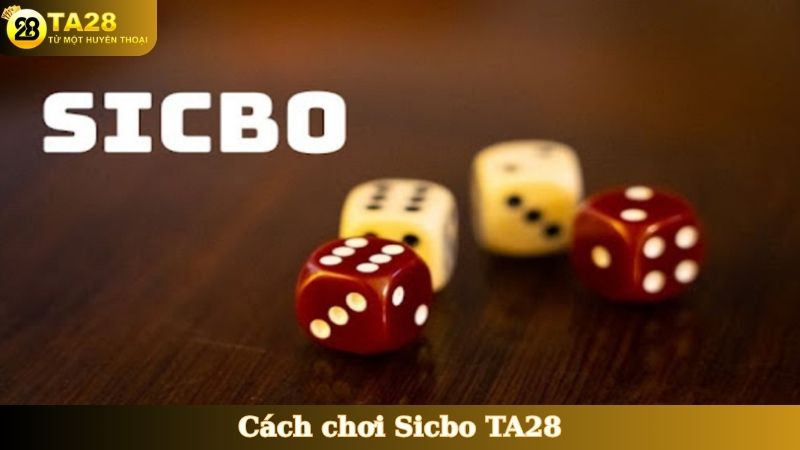 cách chơi Sicbo