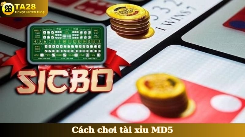 Cách chơi Tài Xỉu MD5